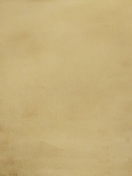 Giz Home Osa Rabbit Post Carpet Camel