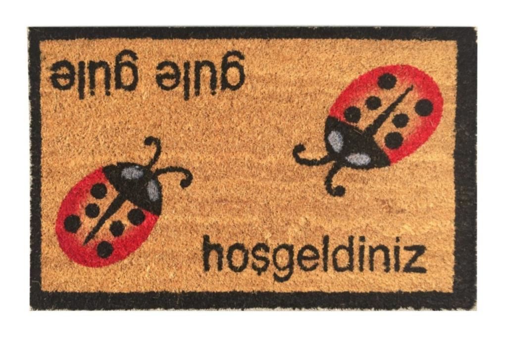 Giz Home Koko Kapı Paspası 40X60 Güle Güle Uğur Böceği