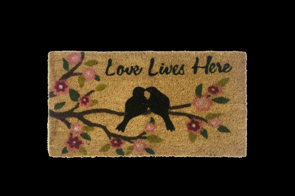 Giz Home Koko Kapı Paspası 33X60 Cm Love Kuşlar