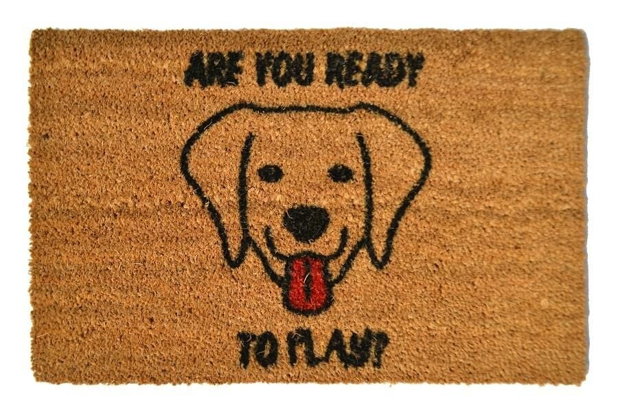 Giz Home Koko Kapı Paspası 40X60 Oyuncu Köpek
